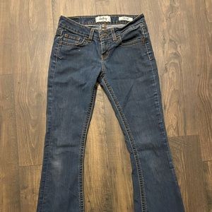 Buckle Daytrip Lynx Flare jeans 26L